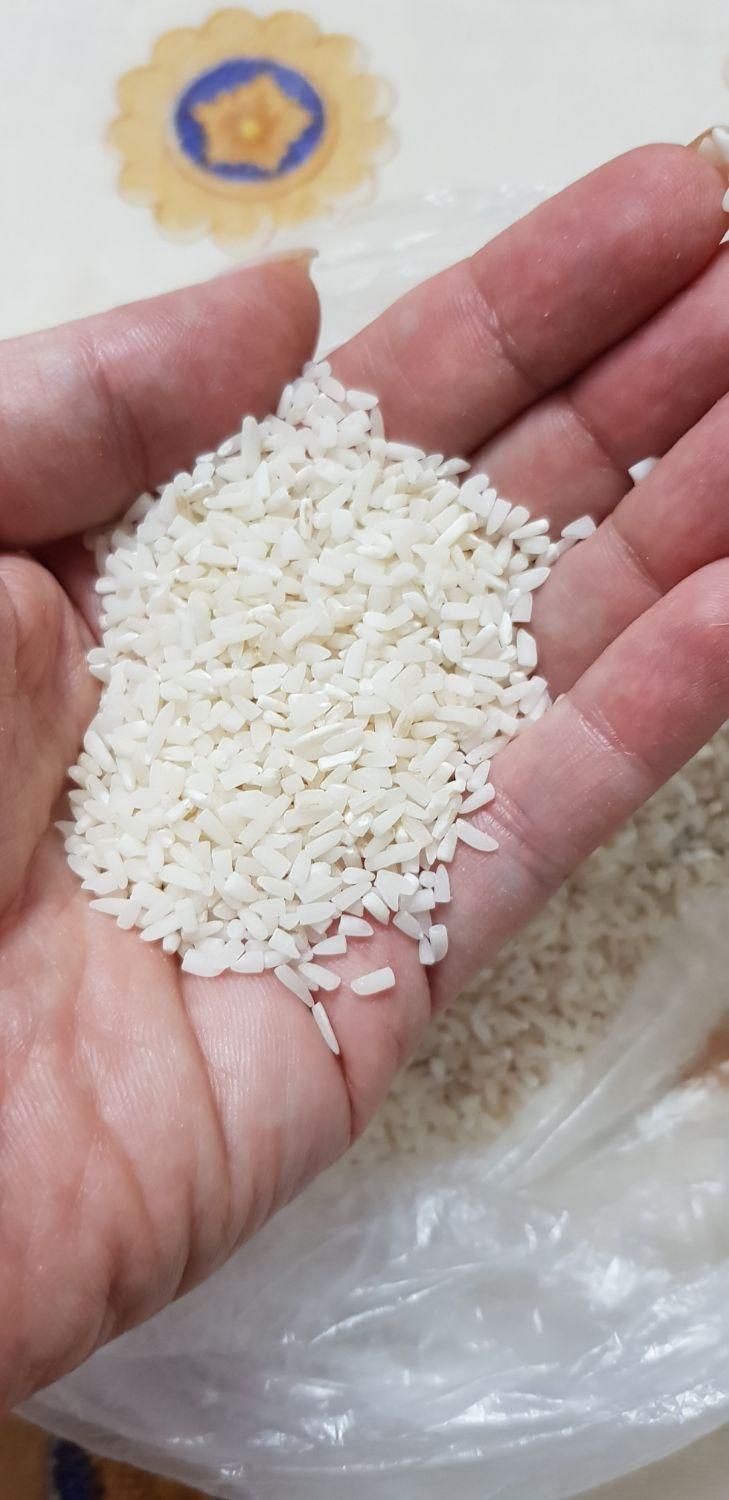 برنج درشت و برنج نیمدانه طارم اعلا و درجه یک|خوردنی و آشامیدنی|رشت, چله خانه|دیوار