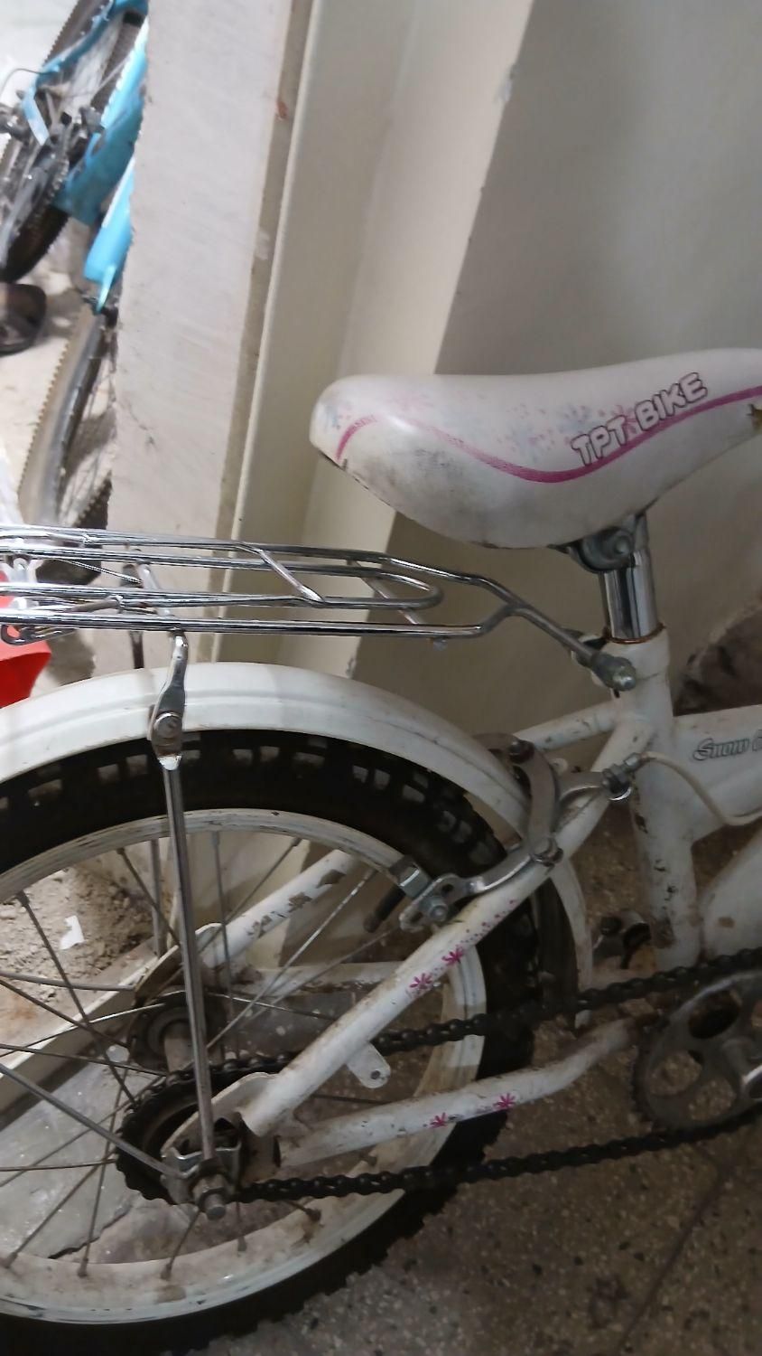 دوچرخه  دخترانه|دوچرخه، اسکیت، اسکوتر|تبریز, |دیوار