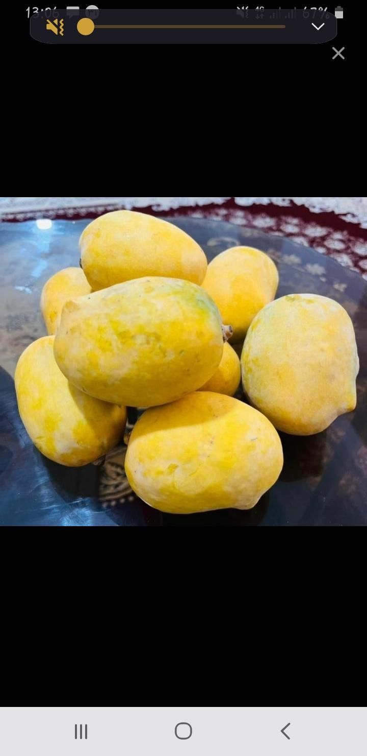 سوغات جنوب|خوردنی و آشامیدنی|رشت, بازار|دیوار