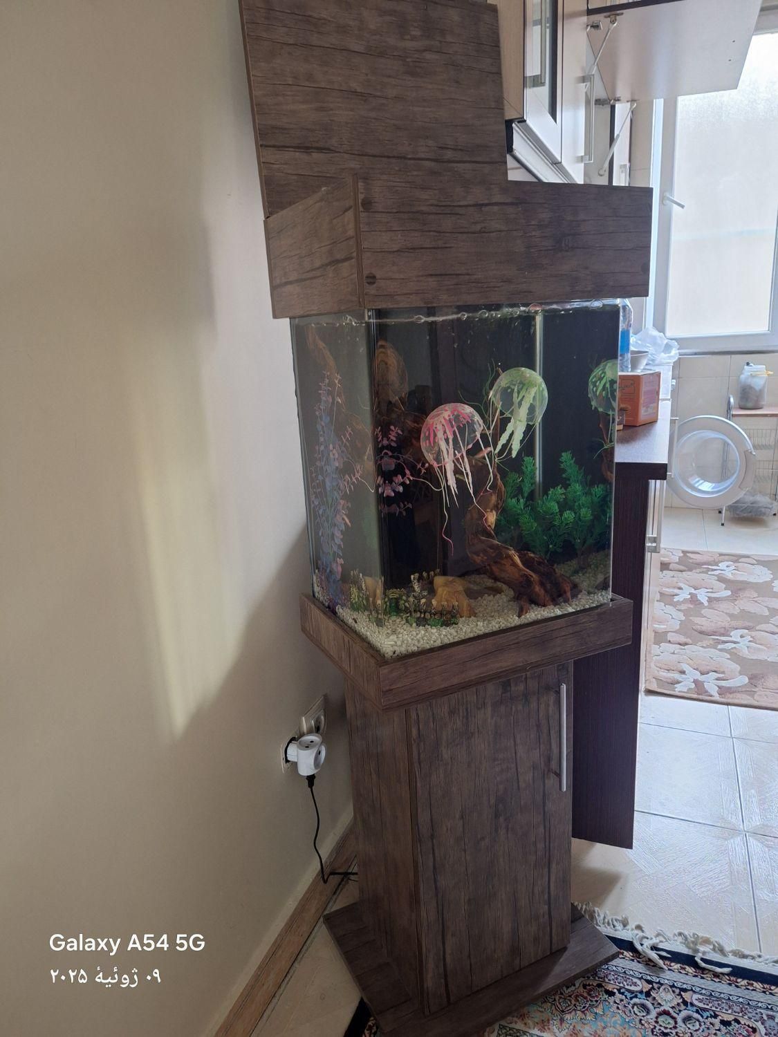 اکواریوم کمدی ایستاده ۱/۵متری با کلیه لوازم|ماهی|تهران, دولاب|دیوار