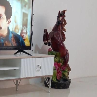 مجسمه دکوری|مجسمه، تندیس، ماکت|مشهد, طبرسی شمالی|دیوار