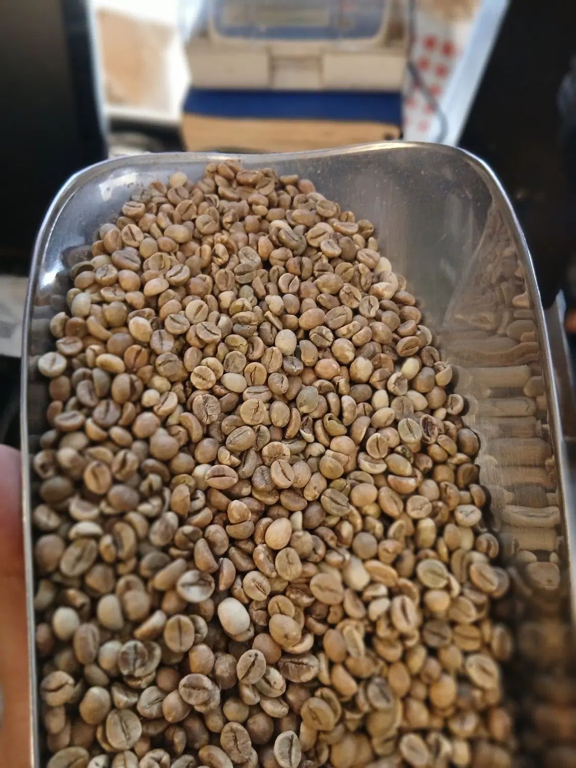 فروش قهوه سبز عمده جهت عطاری(۵ کیلویی و ۱۰ کیلویی)|عمده‌فروشی|تهران, نیروی هوایی (پیروزی)|دیوار