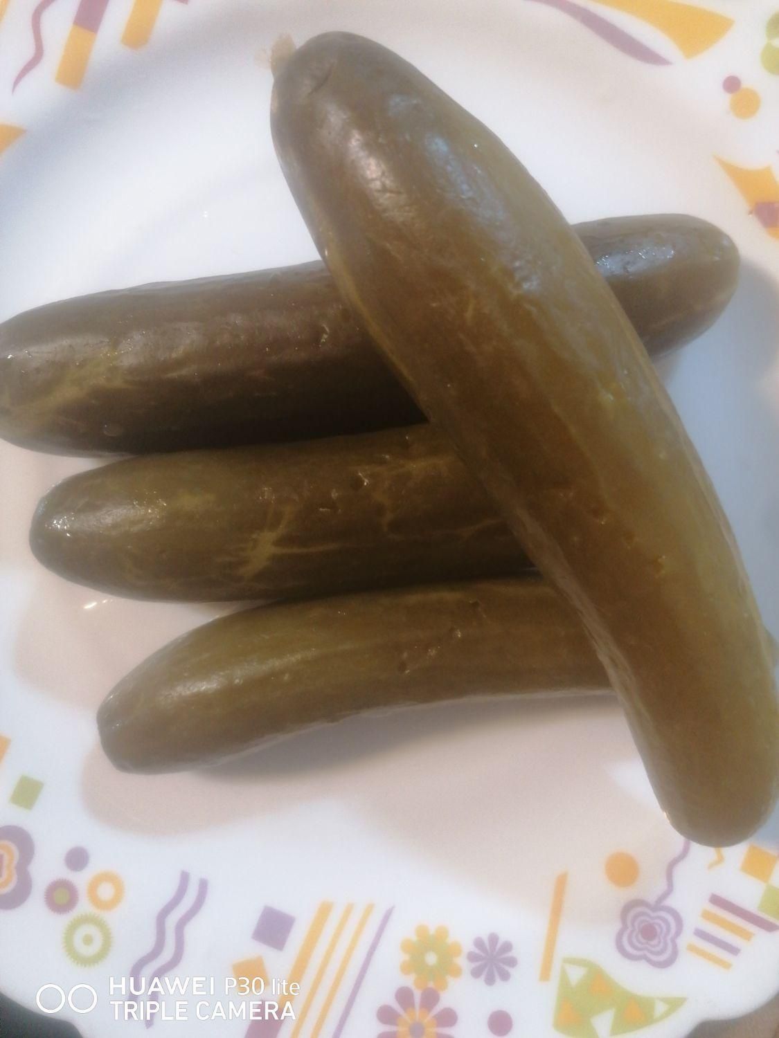 فروش خیارشور ممتاز|خوردنی و آشامیدنی|شیراز, فرودگاه شهید دستغیب شیراز|دیوار
