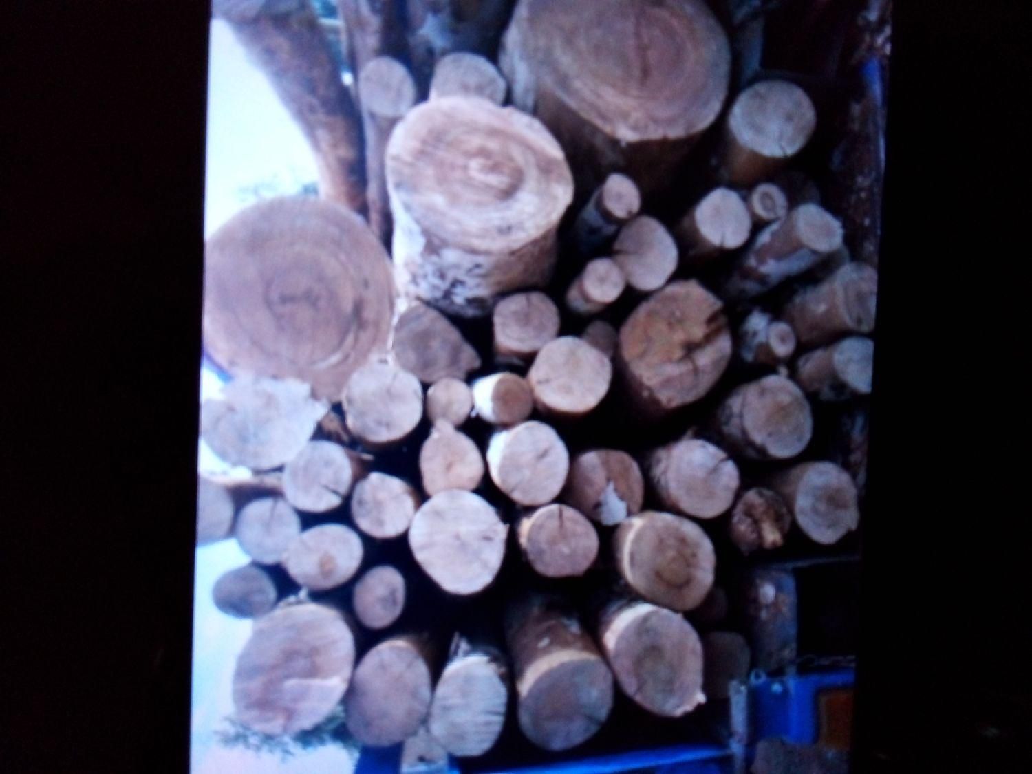 خریدچوب برش درخت هرس درخت|خدمات باغبانی و درختکاری|تهران, والفجر (افسریه)|دیوار