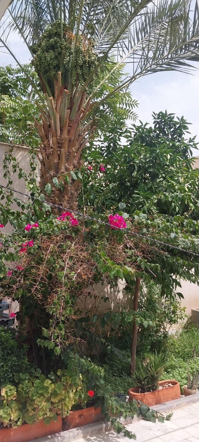 آپارتمان۱۵۵متری همکف۳خواب حیاط دار درهشت بهشت غربی|فروش آپارتمان|اصفهان, ملک|دیوار