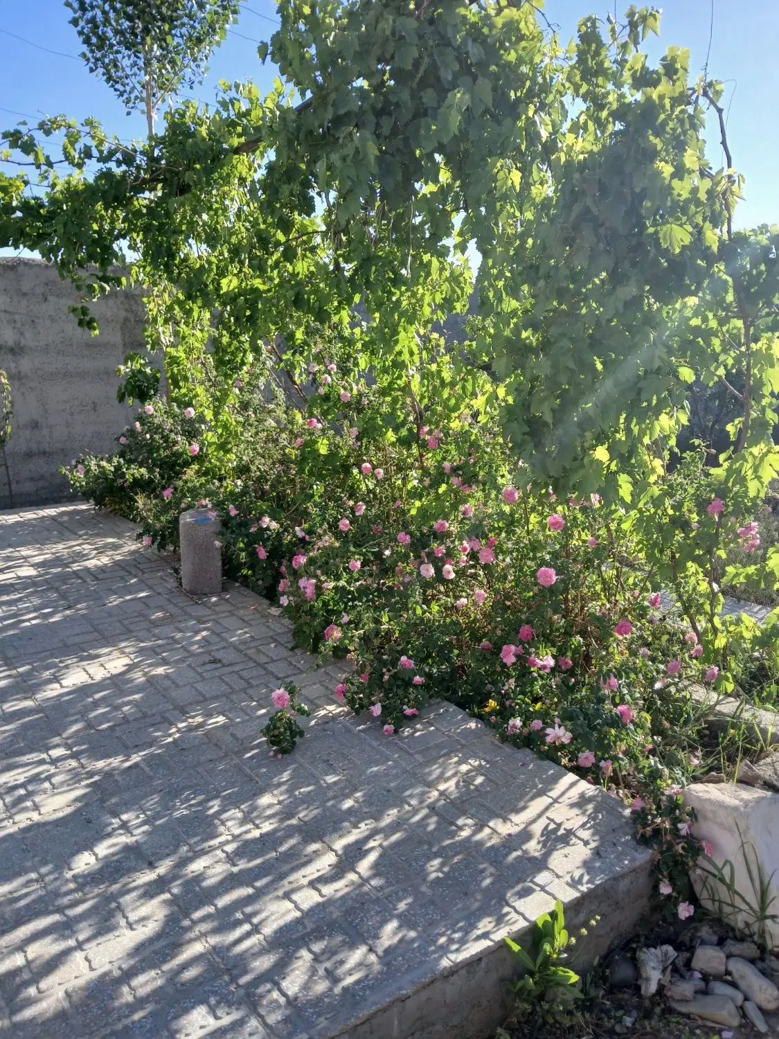 باغچه سنتی۳۵۸متر شهرکی زیر قیمت بنای ۵۷ متری نوساز|فروش خانه و ویلا|هشتگرد, تهران دشت|دیوار