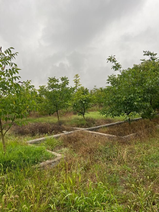 17 هزار متر باغ سند تک برگ ۴۰۰متر داخل بافت ییلاقی|فروش زمین و ملک کلنگی|زیرآب, |دیوار