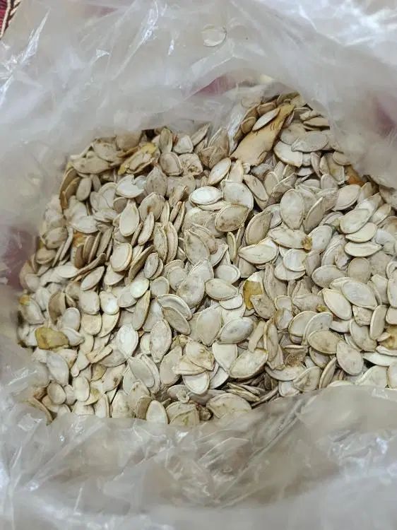 تخمه کدو|خوردنی و آشامیدنی|اصفهان, ارداجی|دیوار