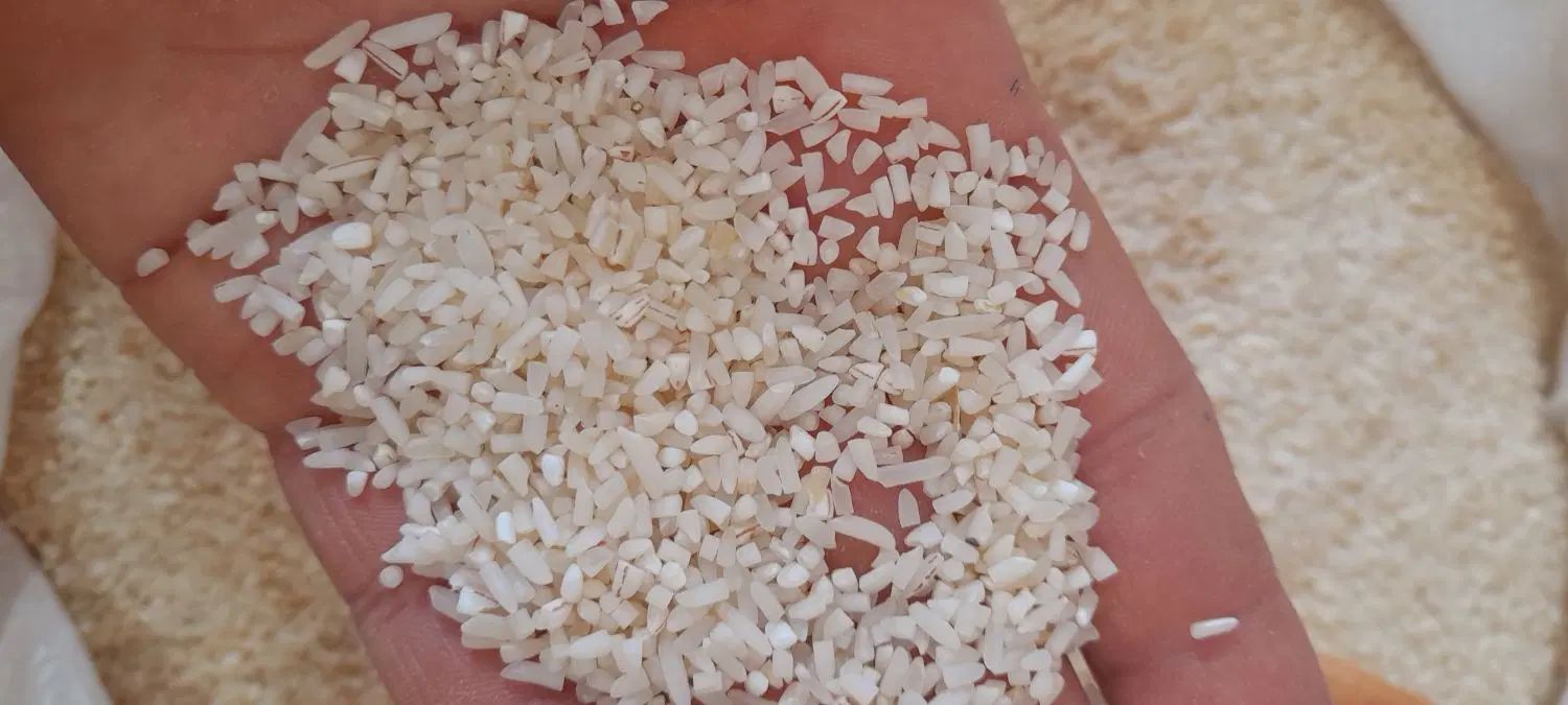 برنج هاشمی و لاشه و نیم دانه هاشمی|خوردنی و آشامیدنی|رشت, استقامت ۲|دیوار