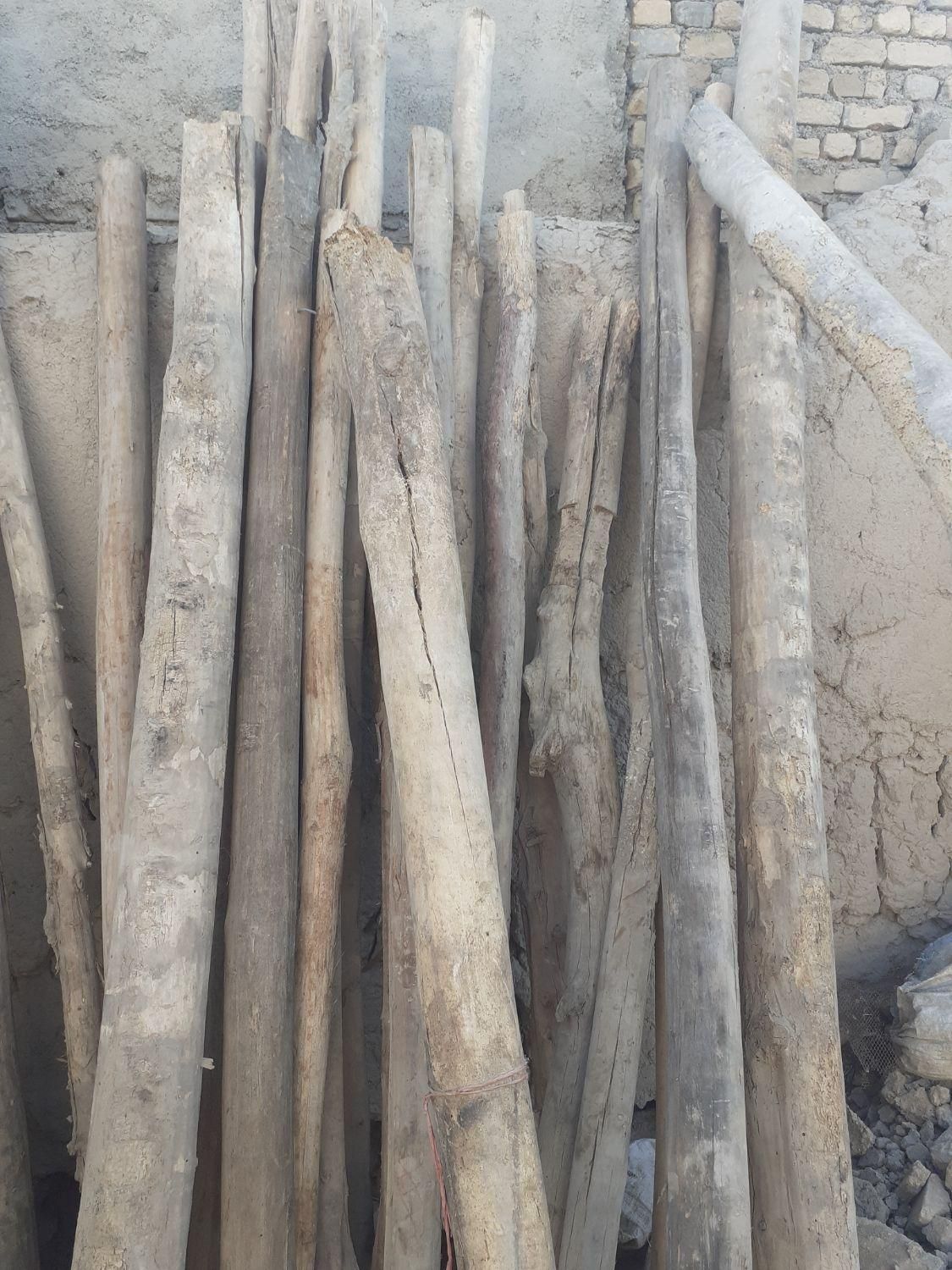 قطع وهرس درختان باغی وویلایی ،اره موتوری،خرید چوب|خدمات باغبانی و درختکاری|مشهد, توس (بلوار توس)|دیوار