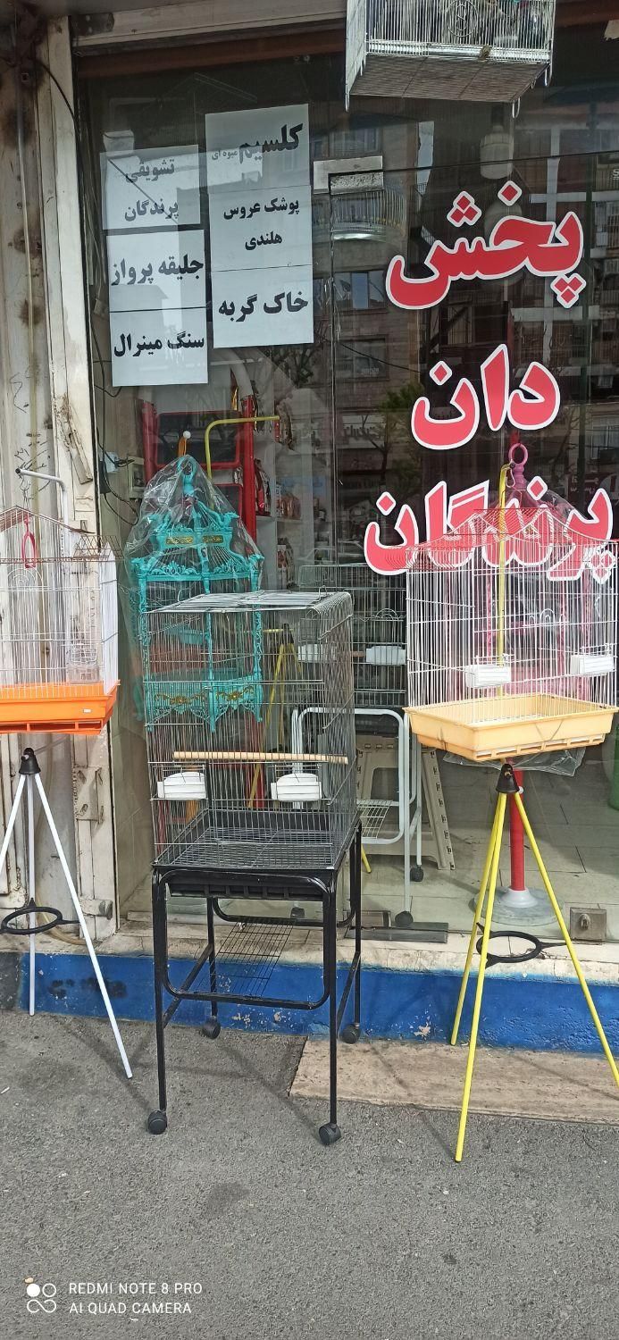 پخش انواع قفس پرنده طوطی سهره کاسکو قناری|لوازم جانبی حیوانات|کرج, حیدرآباد|دیوار