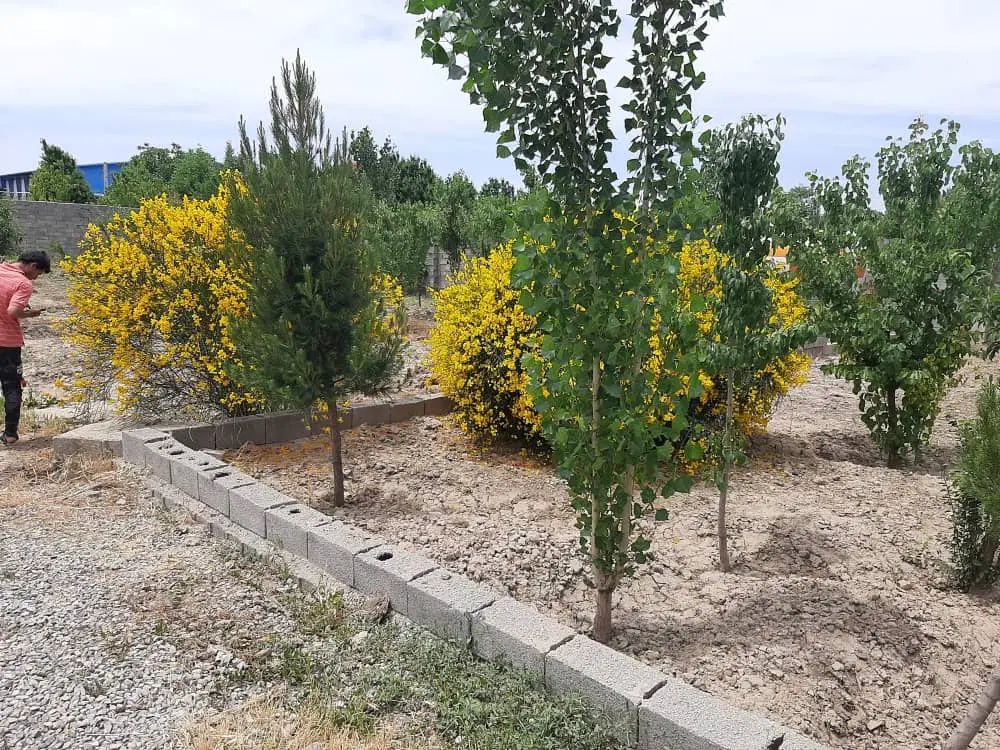 زمین سرسبز،چهاردیواری،چهارباغ کمربندی رامجین.|فروش زمین و ملک کلنگی|تهران, درختی|دیوار