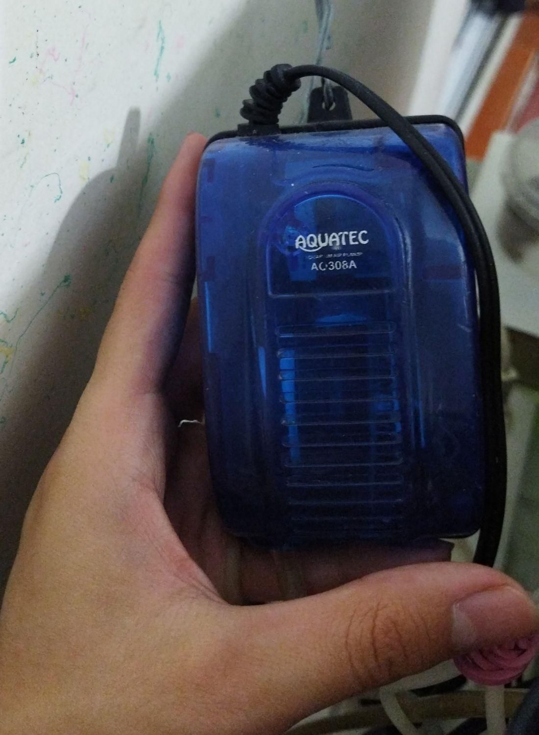 آکواریوم|ماهی|میانه, |دیوار