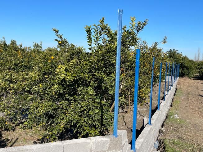 فروش زمین ۵۰۰ متری در /شمال|فروش زمین و ملک کلنگی|تهران, جنت‌آباد جنوبی|دیوار