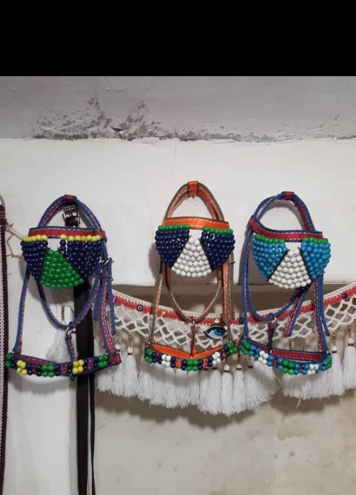 فروش پالان و لوازم اسب،قاطر و...|اسب و تجهیزات اسب‌سواری|ساری, |دیوار