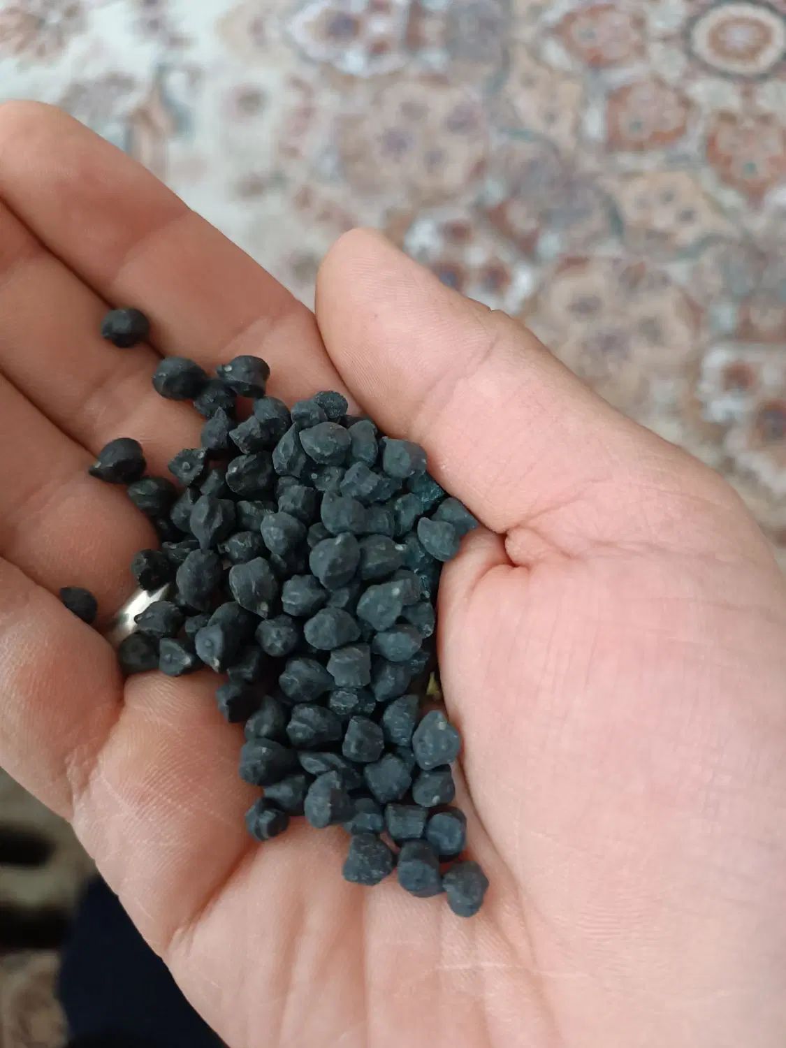 نخود سیاه آذرشهر|خوردنی و آشامیدنی|کرج, کیانمهر|دیوار