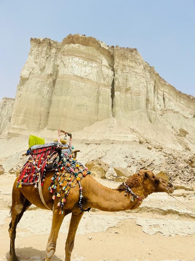 تور قشم گشت جزیره قشم|تور و چارتر|قشم, |دیوار