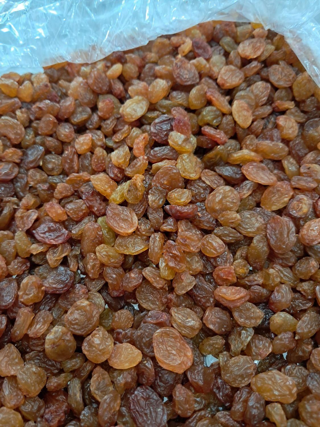 کشمش افتابی طاهریان با بازدهی بالا|خوردنی و آشامیدنی|مشهد, گاز|دیوار