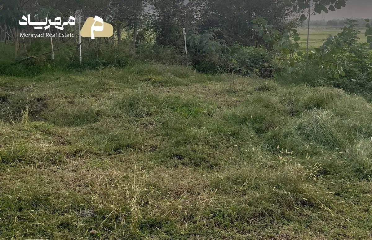 ویلاحیاط‌دار2000متری درکوچصفهان روستای گیلوا دشتان|فروش خانه و ویلا|کوچصفهان, |دیوار