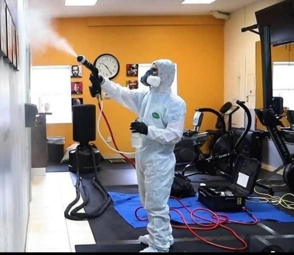 سمپاشی موریانه سوسک ساس هوادار مستاجران(مجوز رسمی)|خدمات نظافت|دزفول, |دیوار