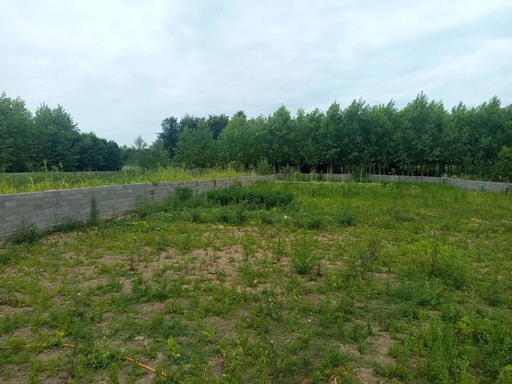 زمین 1850مترگیلان انزلی پره سر روستای نوکنده بزرگ|فروش زمین و ملک کلنگی|پره‌سر, |دیوار