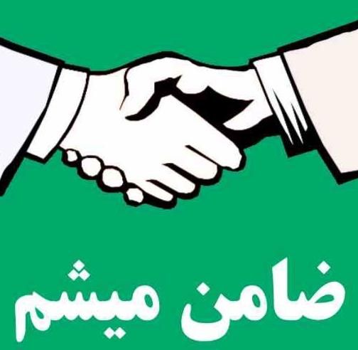 ضامن میشم|خدمات مالی، حسابداری، بیمه|قم, شاه ابراهیم|دیوار
