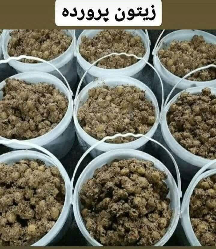 شهرزیتون وترشیجات اصالت.      (کلی وجزئی)|عمده‌فروشی|بجنورد, |دیوار