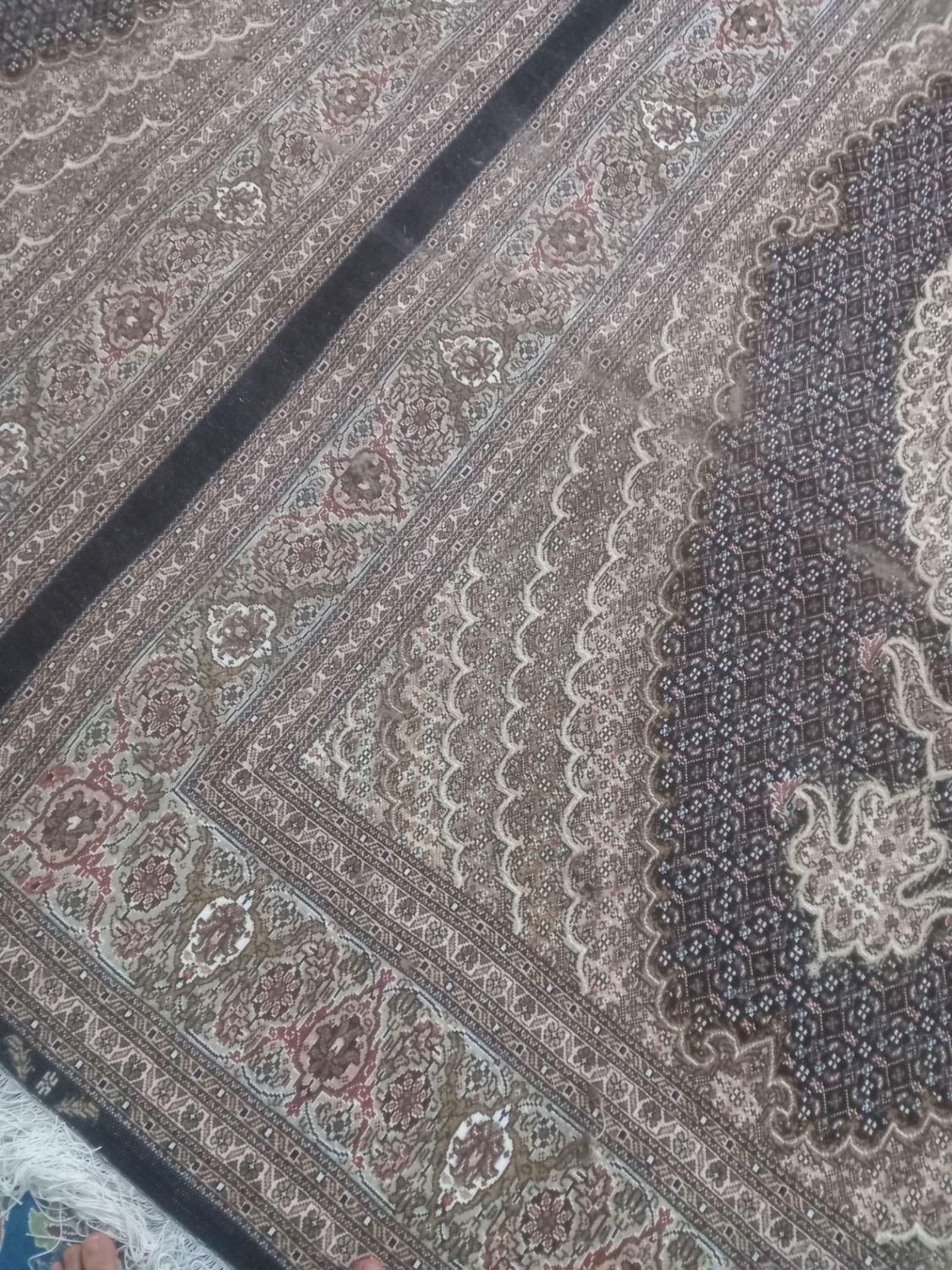بانخ عالی بدون هیچ گونه ایراد|فرش|اردبیل, |دیوار