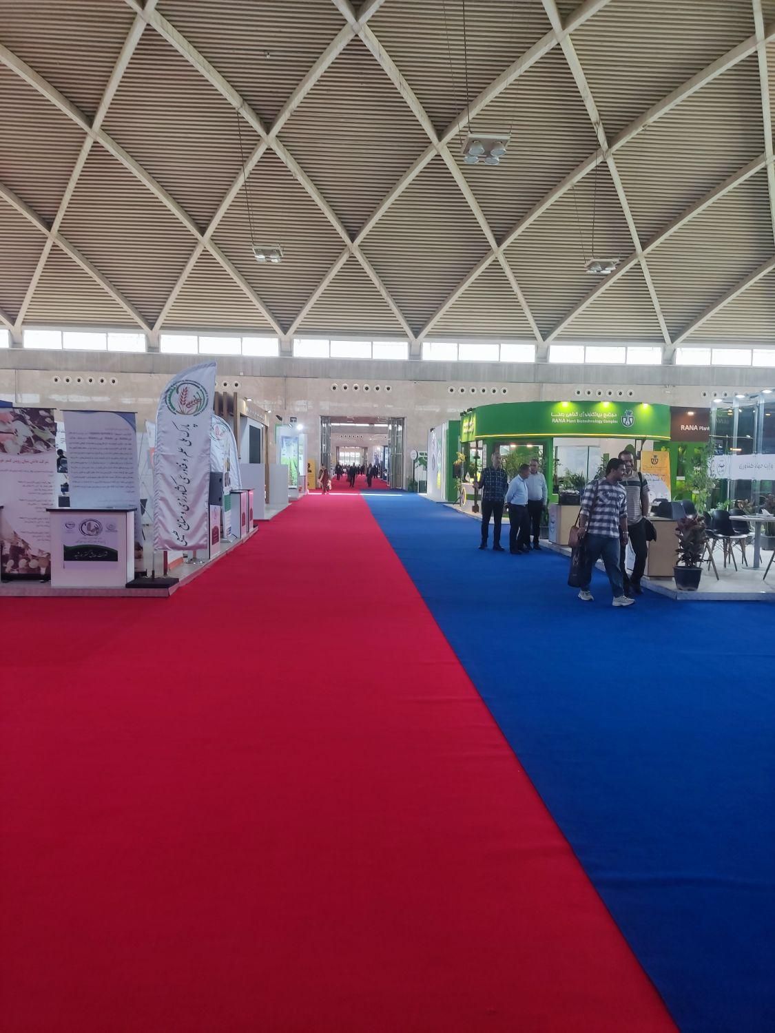 موکت ظریف مصور|موکت|مشهد, گاز|دیوار