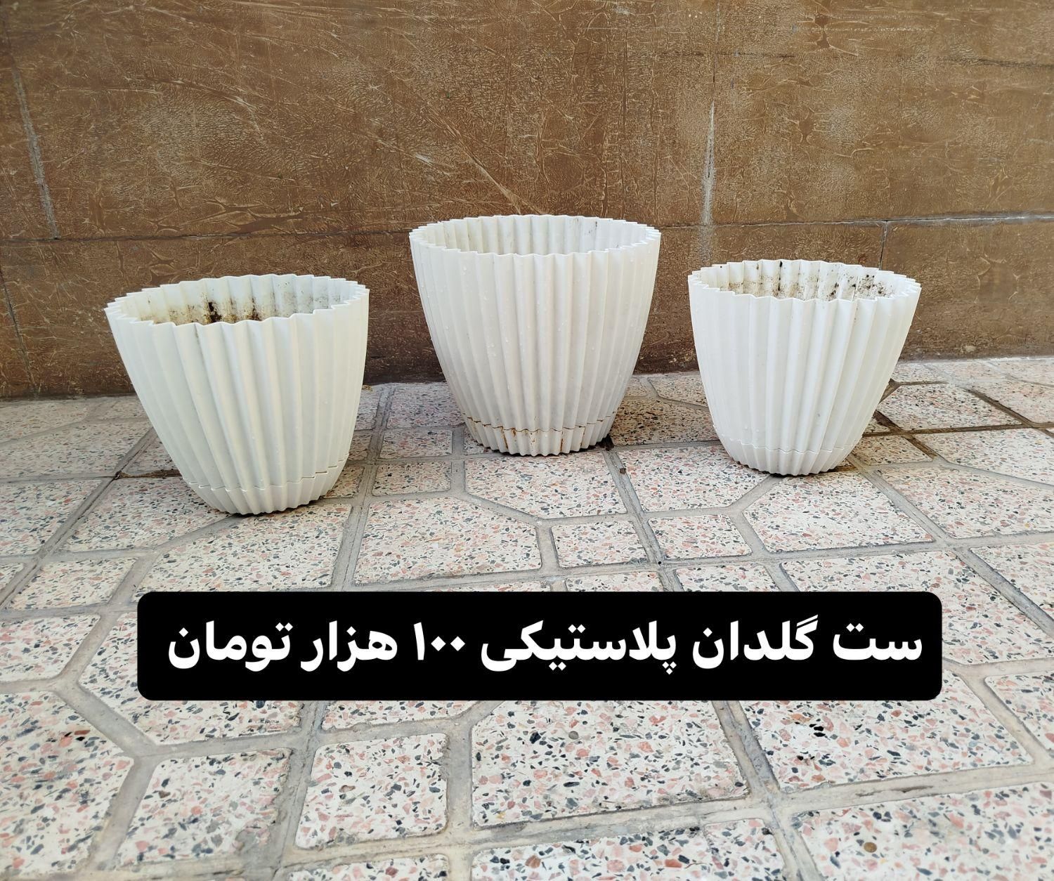 فروش گلدان و استند چوبی|گل و گیاه طبیعی|شاهینشهر, حافظ شمالی|دیوار