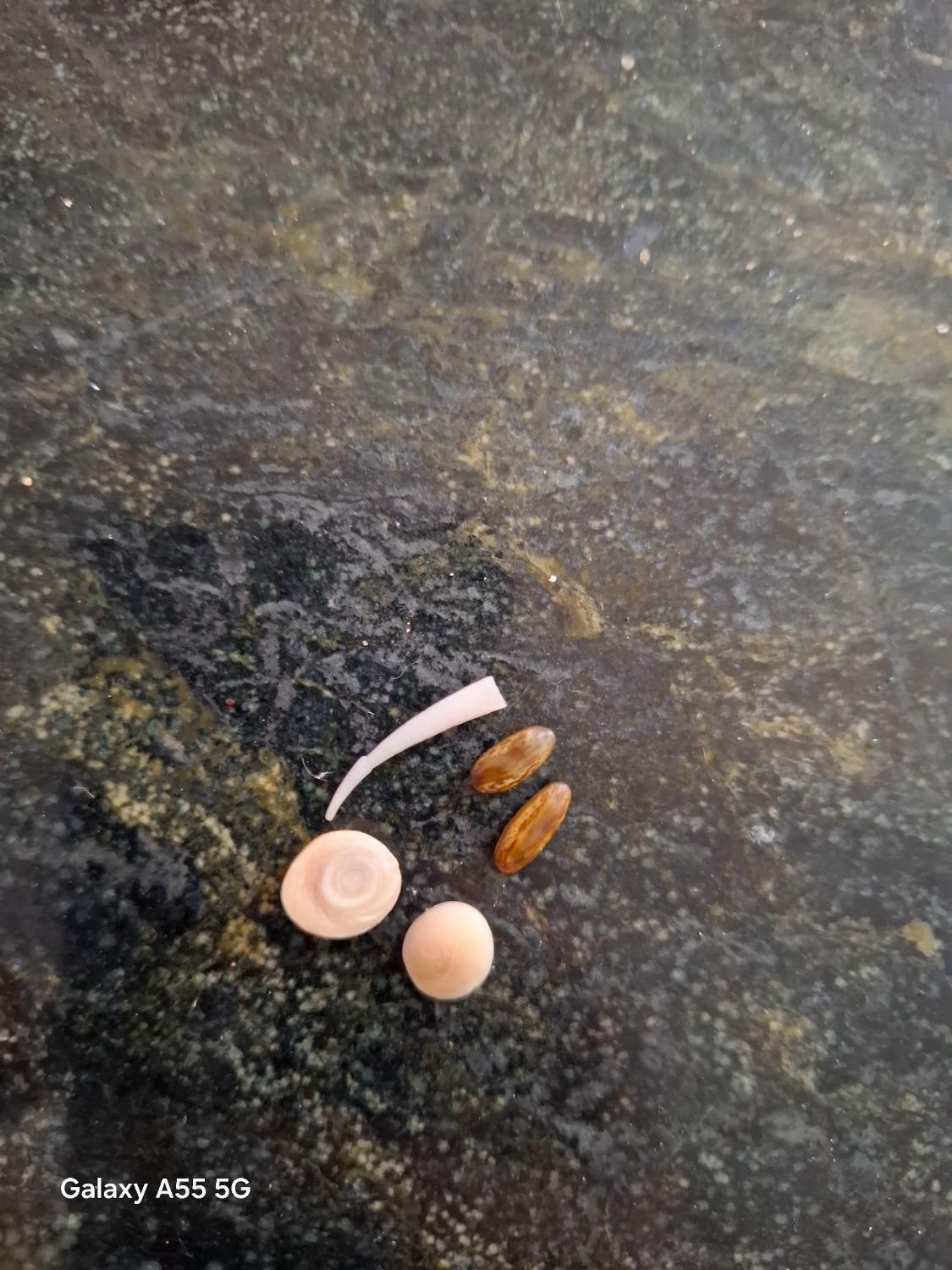 سنگ زیبا قیمتی|کلکسیون اشیاء عتیقه|شیراز, شهرک امام حسن|دیوار