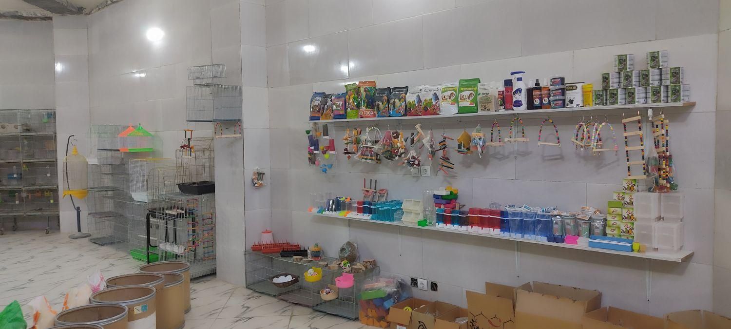 پرنده سرای آمازون فولادشهر سایت صنعتی|پرنده|فولادشهر, سایت صنعتی کاوه|دیوار