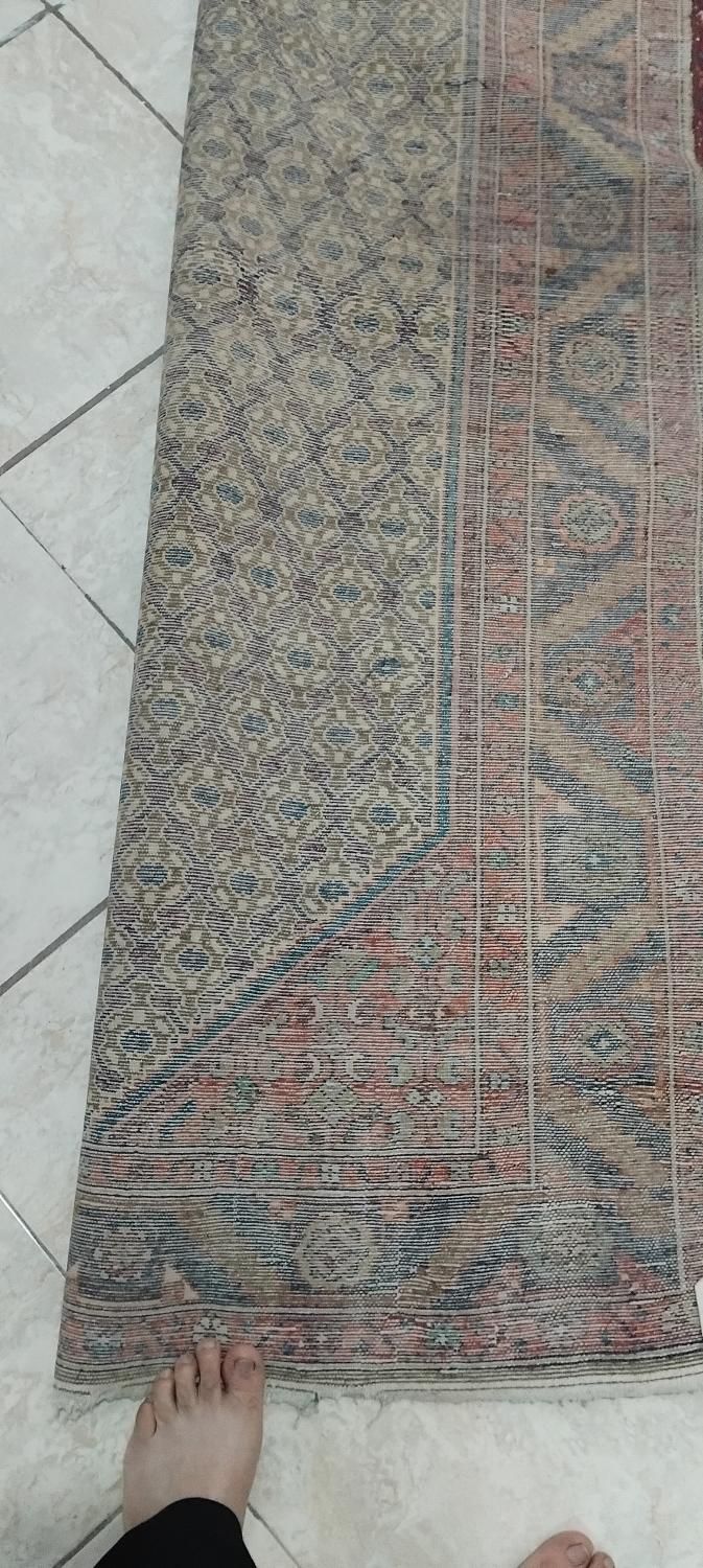 فرش دستباف قدیمی|فرش|تهران, جیحون|دیوار