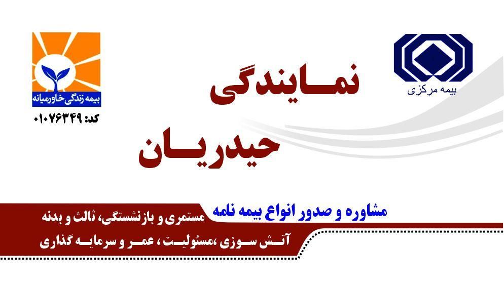 بیمه شخص ثالث نقد و اقساط بدون چک و ضامن وسود|خدمات مالی، حسابداری، بیمه|کرمانشاه, |دیوار