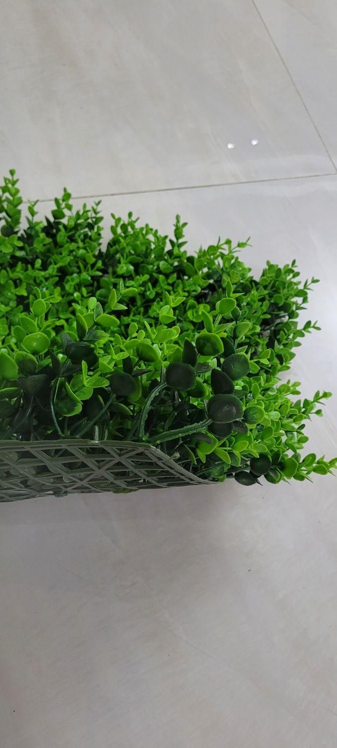 دیوار سبز و پنل گرین وال شمشادی (نصب و طراحی)|گل مصنوعی|تهران, فردوس|دیوار