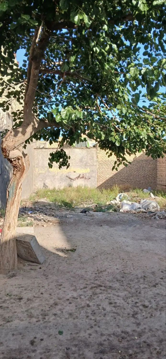 زمین ۸۵متری|فروش زمین و ملک کلنگی|مشهد, علی آباد|دیوار