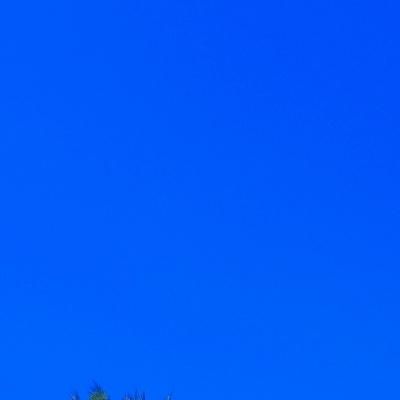 اجاره روزانه/هفتگی/ماهانه آپارتمان ۱۲۰ متری|اجارهٔ کوتاهمدت آپارتمان و سوئیت|فیروزآباد (فارس), |دیوار