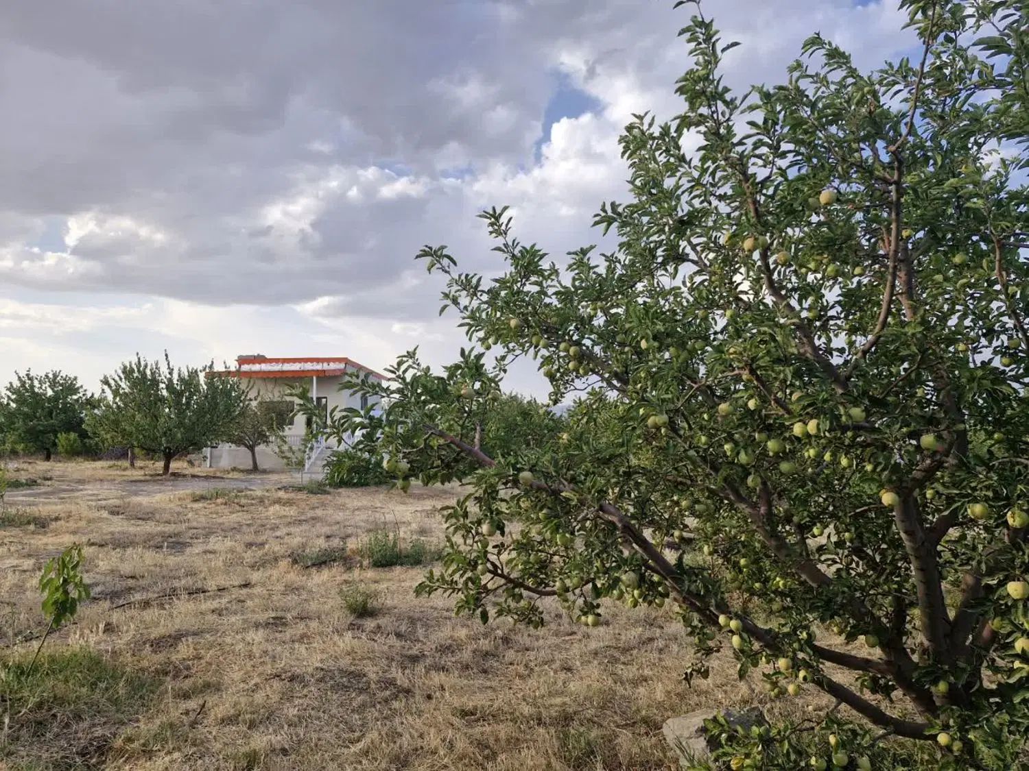 باغ ۱۵۰۰ متری با ویلای تازه ساخت در کمربندی اهر|فروش خانه و ویلا|اهر, |دیوار