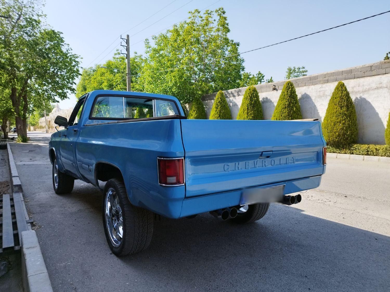 وانت کاستوم مهندسی1975|خودرو کلاسیک|تهران, اکباتان|دیوار