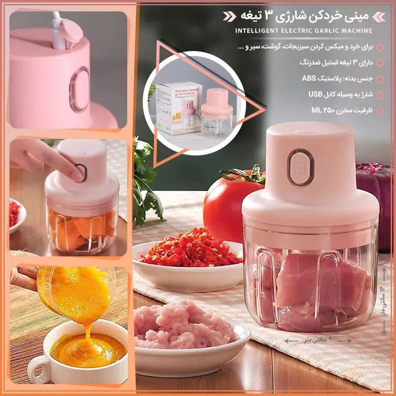 خردکن شارژی مینی|خردکن، آسیاب، غذاساز|کرج, شاهین‌ویلا|دیوار