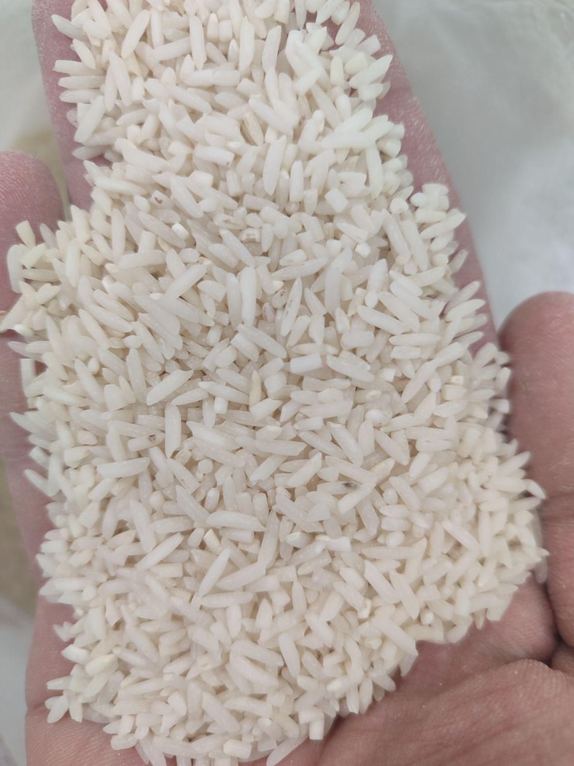 برنج سرلاشه هاشمی معطر|خوردنی و آشامیدنی|زنجان, |دیوار