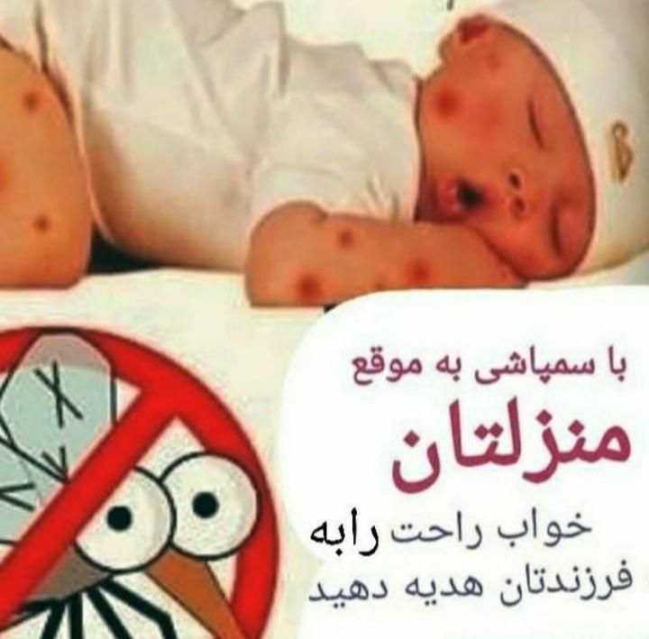 سمپاشی منازل ریشه کنی ساس سم پاشی سوسک|خدمات نظافت|کرج, کرج نو|دیوار