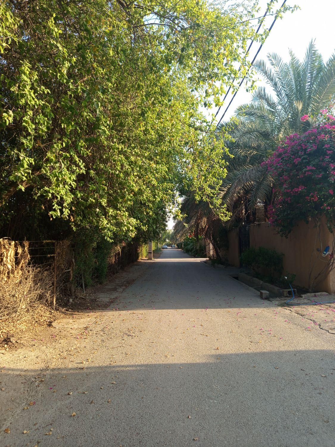 فروش باغ باغچه|فروش زمین و ملک کلنگی|دزفول, |دیوار