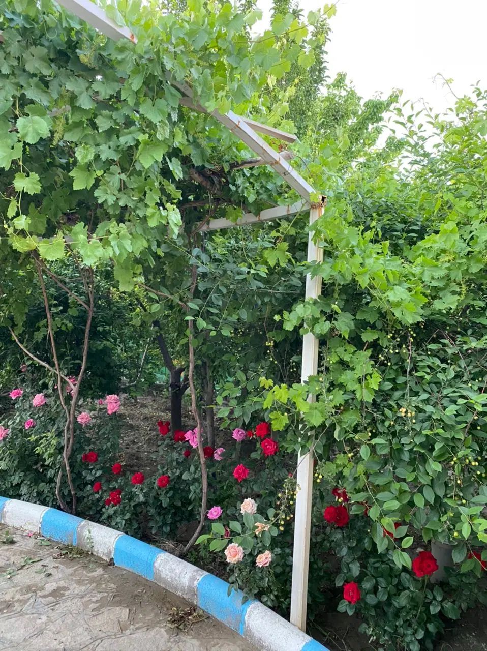 220 متـر/ ویلایی دربـست / 2 طبـقه / هنــرستان 31|اجارهٔ خانه و ویلا|مشهد, نیروی هوایی|دیوار