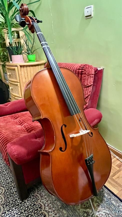 Cello TF 110 student model|ویولن|تهران, اکباتان|دیوار