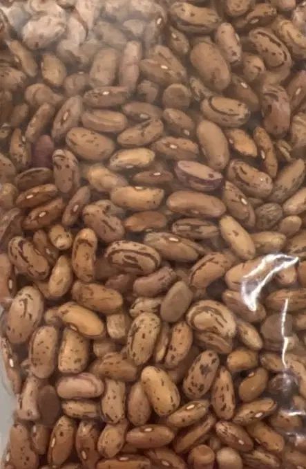 حبوبات فله|خوردنی و آشامیدنی|مشهد, ده دی|دیوار