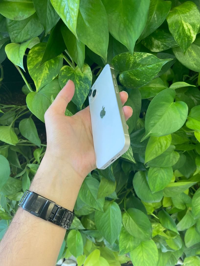 اپل iPhone 13 ، گوشی به این تمیزی ندیدی|موبایل|اصفهان, نصرآباد|دیوار