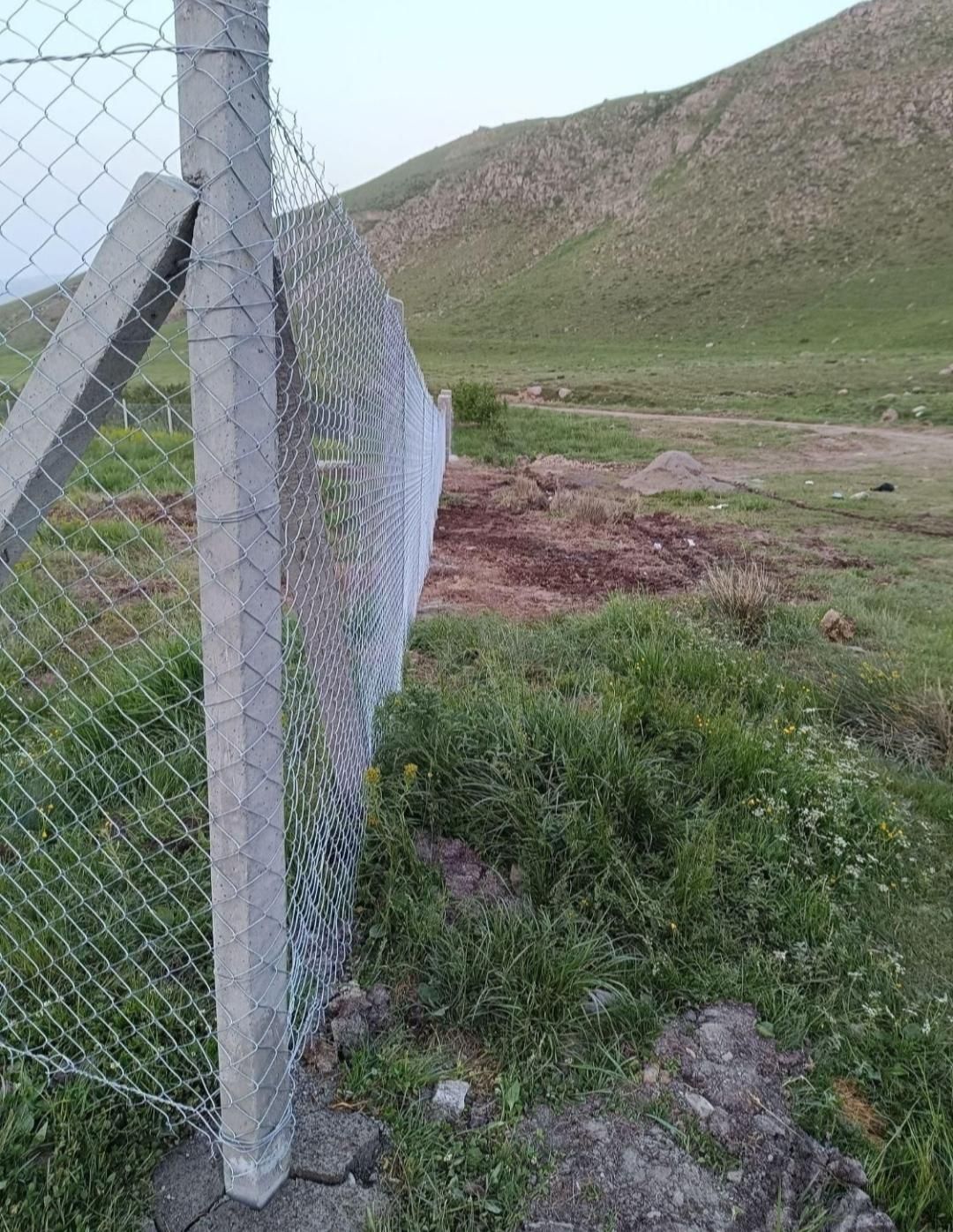 پایه فنس بتونی وتیر باغ انگور|عمده‌فروشی|خوی, |دیوار