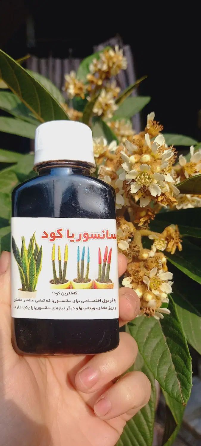 کود تقویتی گل آپارتمانی و قیم پتوس، خاک مخلوط|گل و گیاه طبیعی|رشت, پیرکلاچای|دیوار