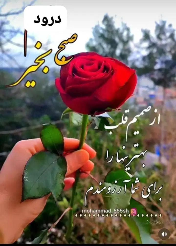 ۱۵۰ هکتار بورسی|فروش دفتر صنعتی، کشاورزی، تجاری|اصفهان, ملک|دیوار